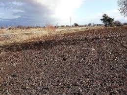 Biga Çavuşköy Köyü resimleri 4