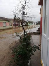 Biga Çavuşköy Köyü resimleri 5