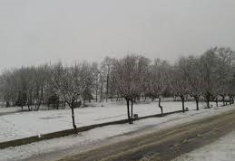 Biga Çelikgürü Köyü Resimleri 4