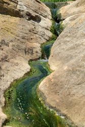 Biga Çeltik Köyü Resimleri 7