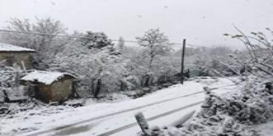 Biga Çeltik Köyü Resimleri