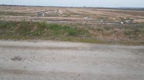 Biga Çeşmealtı Köyü Resimleri 2