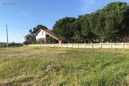 Biga Çeşmealtı Köyü Resimleri 3