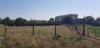 Biga Çeşmealtı Köyü Resimleri 7