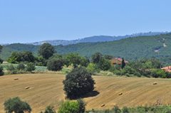 Biga Çınardere Köyü Resimleri 8