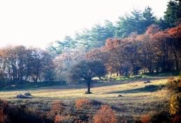 Biga Çömlekçi Köyü Resimleri 7