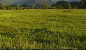 Biga Dikmen Köyü resimleri 4