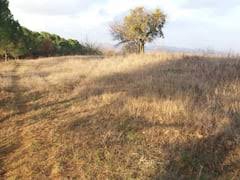 Biga Dikmen Köyü resimleri 5