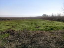 Biga Dikmen Köyü resimleri 6