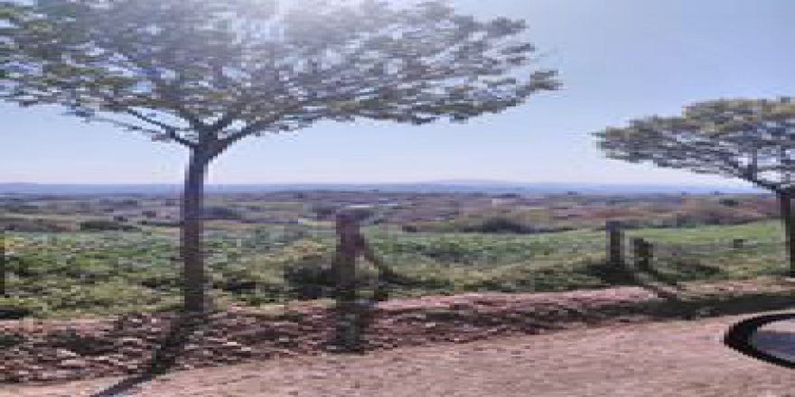 Biga Dikmen Köyü resimleri