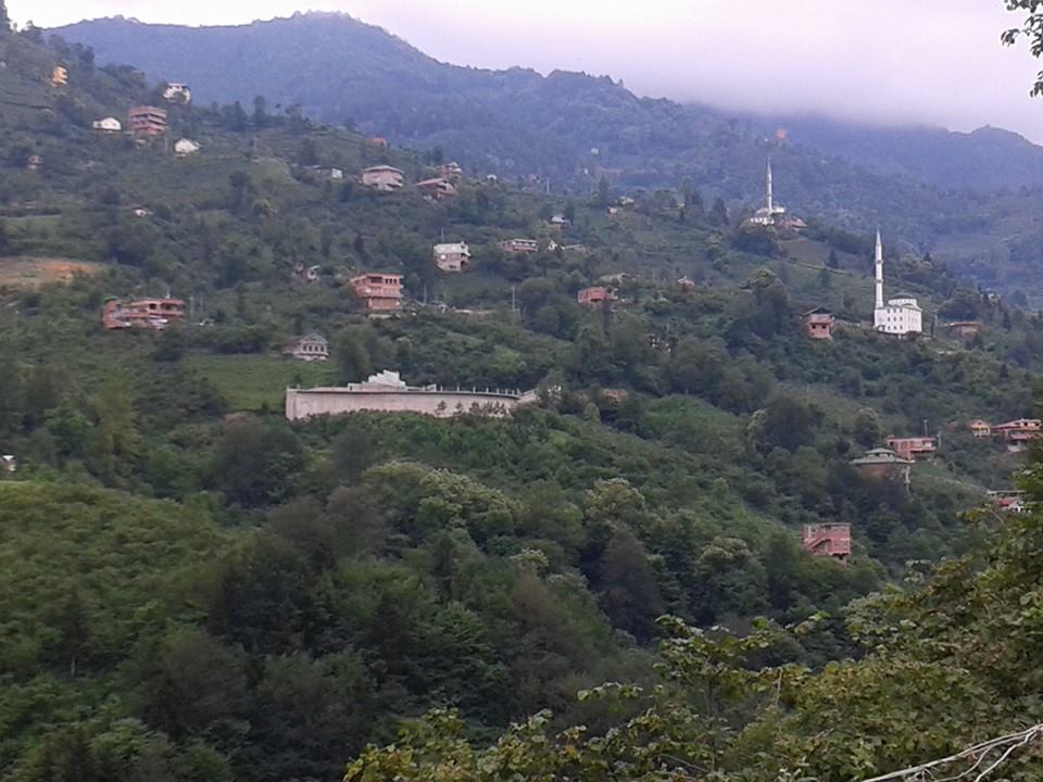 Araklı Halilli Köyü Resimleri 10