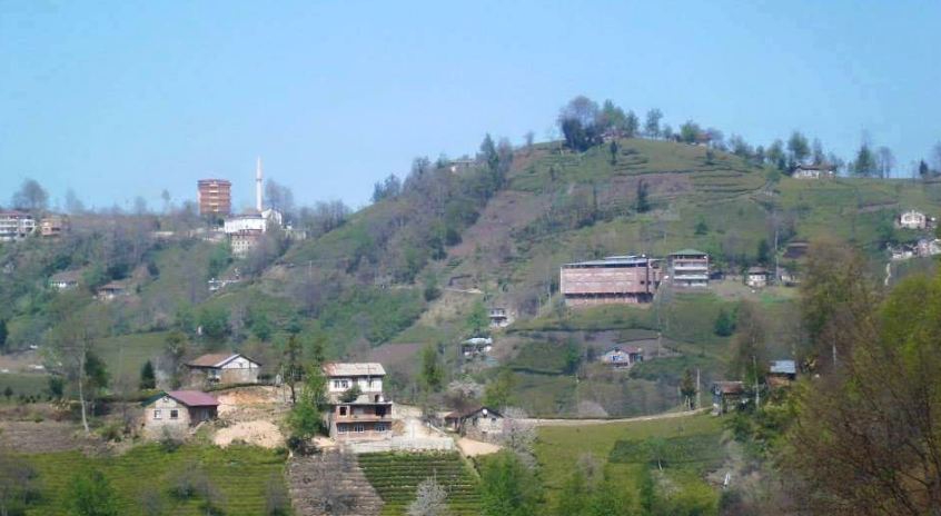 Araklı Halilli Köyü Resimleri 7