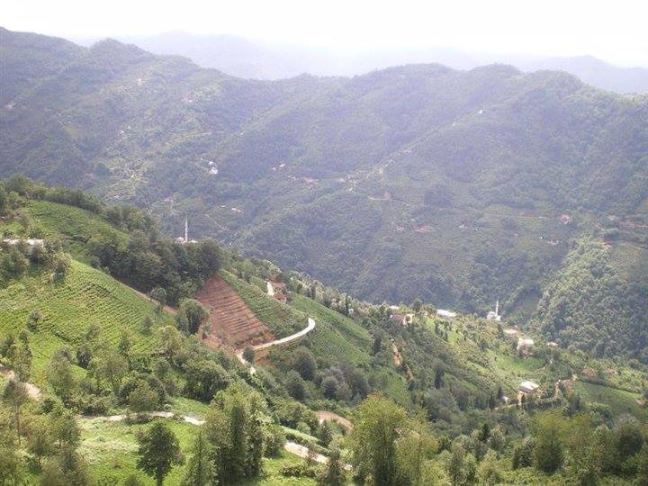 Araklı Halilli Köyü Resimleri 9