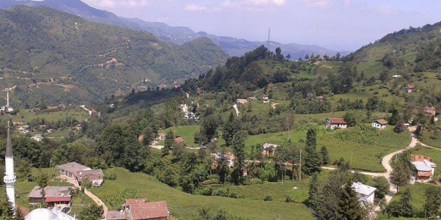 Araklı Halilli Köyü Resimleri