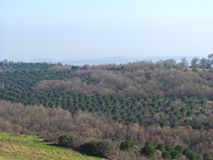 Biga Emirorman Köyü Resimleri 2