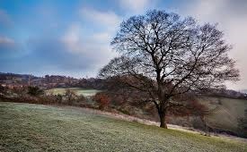 Biga Eybekli Köyü  Resimleri 1