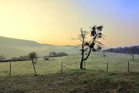 Biga Eybekli Köyü  Resimleri 9