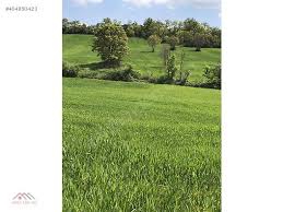 Biga Geredeli Köyü Resimleri 8