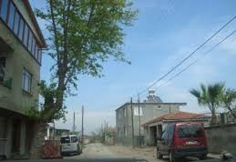 Biga  Gerlengeç Köyü Resimleri 8