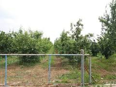 Biga Geyikkırı Köyü Resimleri 6