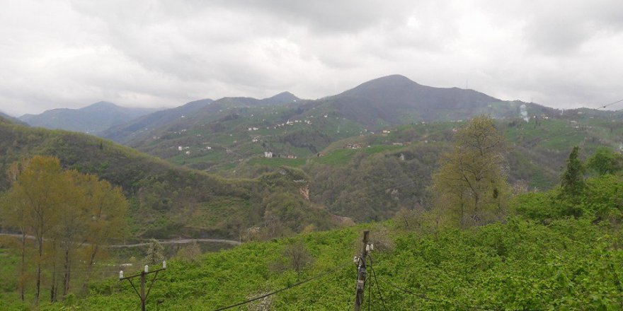 Araklı Hasköy Köyü Resimleri