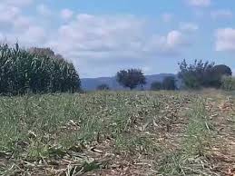 Biga Gürçeşme Köyü Resimleri 5