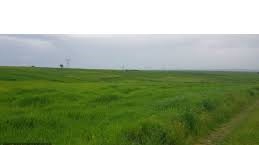 Biga Gürçeşme Köyü Resimleri 6