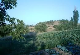 Biga Gürgendere  Köyü Resimleri 1