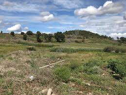 Biga Gürgendere  Köyü Resimleri 6