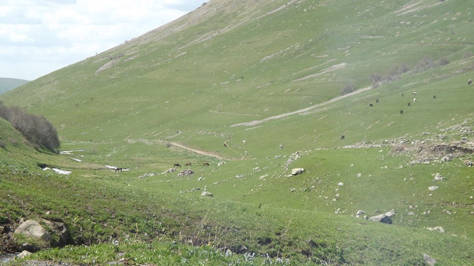 Posof Derindere Köyü Resimleri 4