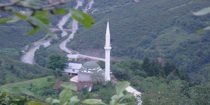 Araklı İyisu Köyü Resimleri