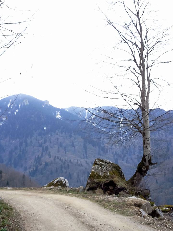 Bulancak Tokmaden Köyü Resimleri 2