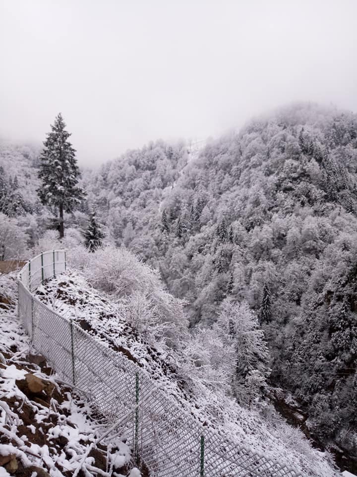 Bulancak Tokmaden Köyü Resimleri 6
