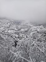 Bulancak Tokmaden Köyü Resimleri 7