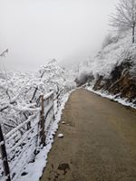 Bulancak Tokmaden Köyü Resimleri 8