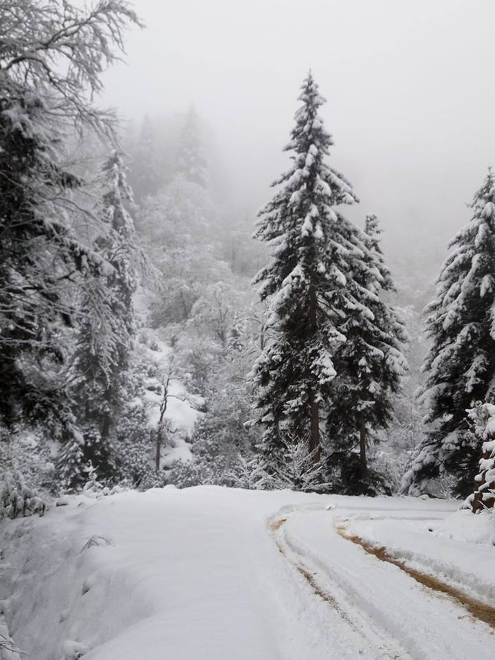 Bulancak Tokmaden Köyü Resimleri 9