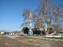 Biga Güvemalan Köyü Resimleri 5