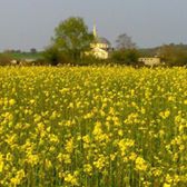 Biga Hacıköy Köyü Resimleri 2