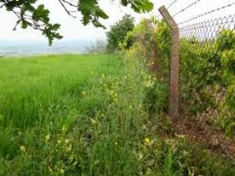 Biga Hacıköy Köyü Resimleri 3