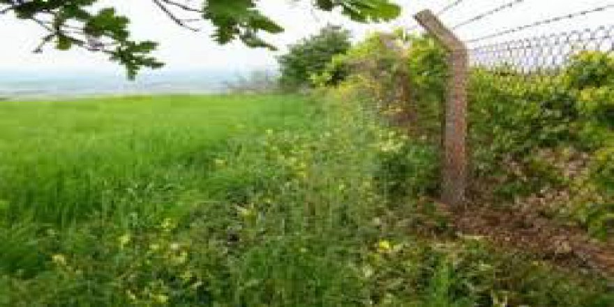 Biga Hacıköy Köyü Resimleri