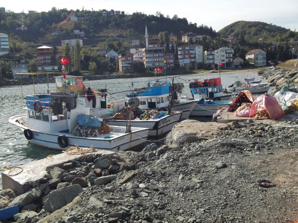 Araklı Kalecik Köyü Resimleri 11