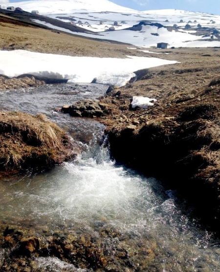 Araklı Kalecik Köyü Resimleri 5