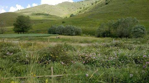 Tokat Akyurt Köyü Resimleri 4