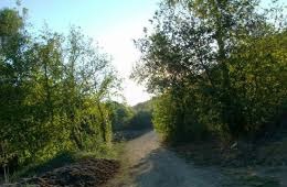 Biga Harmanlı Köyü Resimleri 5