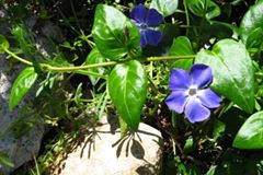 Biga  Havdan Köyü Resimleri 1