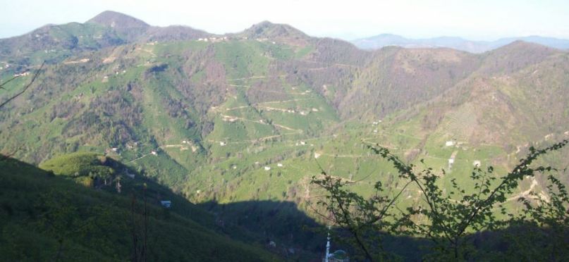 Araklı Karatepe Köyü Resimleri 1