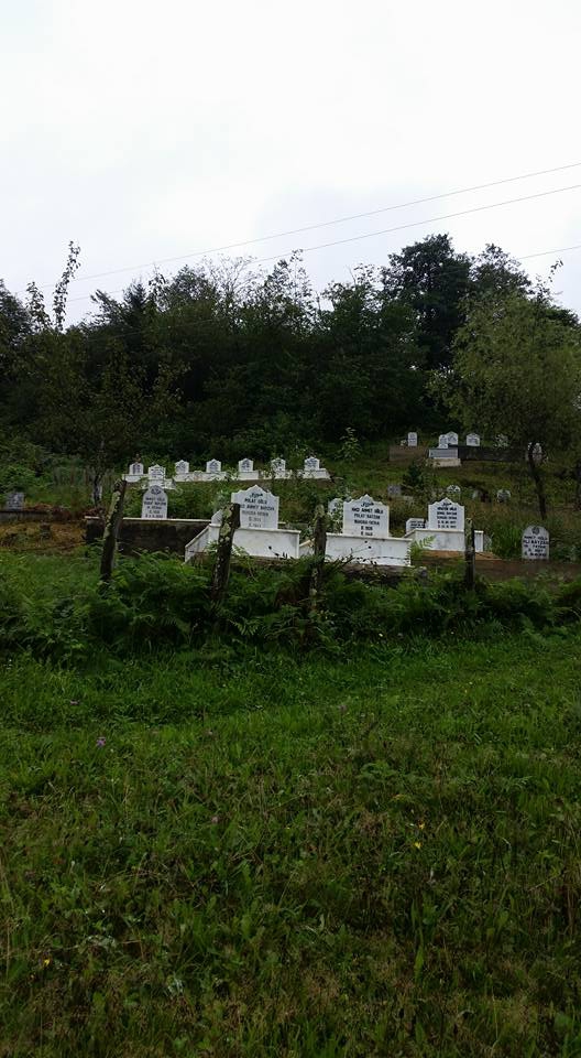 Araklı Karatepe Köyü Resimleri 13