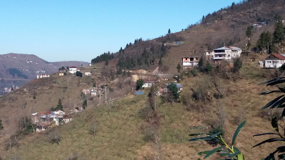 Araklı Karatepe Köyü Resimleri 16