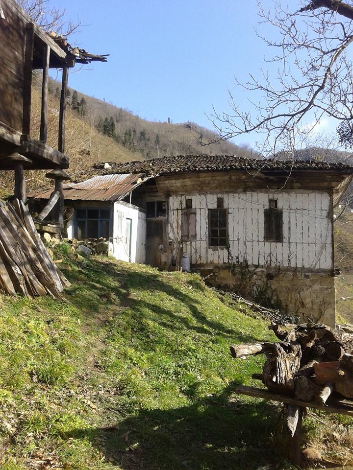 Araklı Karatepe Köyü Resimleri 18