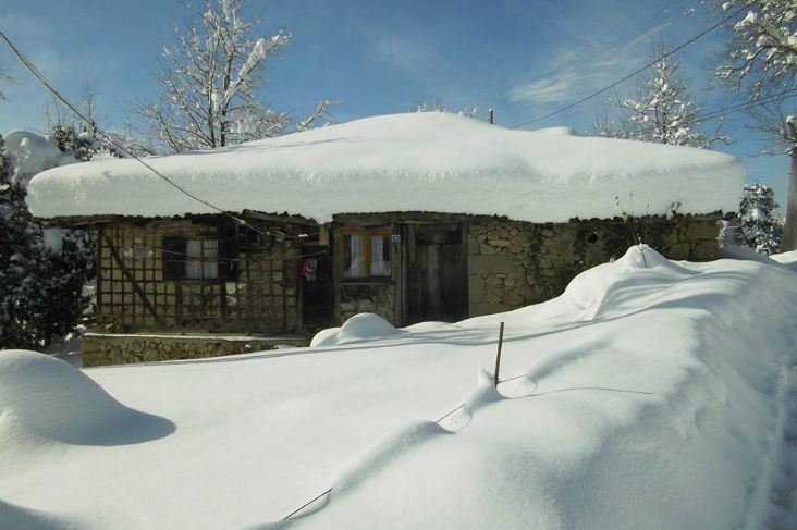Araklı Karatepe Köyü Resimleri 19